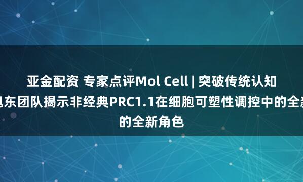 亚金配资 专家点评Mol Cell | 突破传统认知：吴旭东团队揭示非经典PRC1.1在细胞可塑性调控中的全新角色
