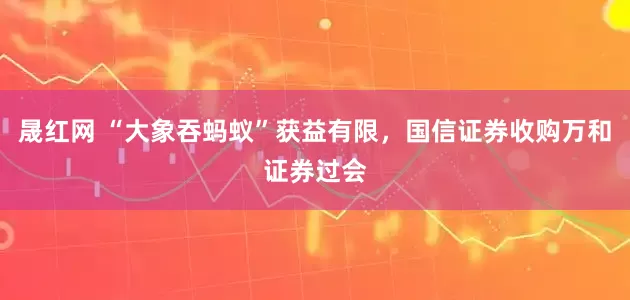 晟红网 “大象吞蚂蚁”获益有限，国信证券收购万和证券过会