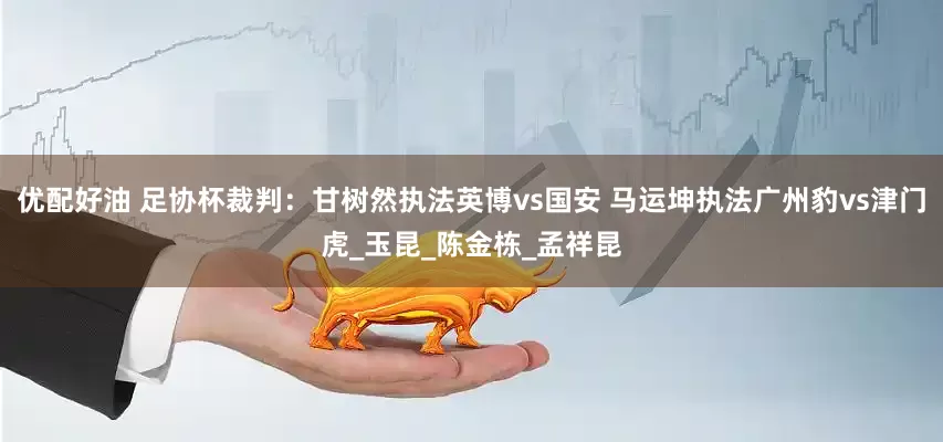 优配好油 足协杯裁判：甘树然执法英博vs国安 马运坤执法广州豹vs津门虎_玉昆_陈金栋_孟祥昆