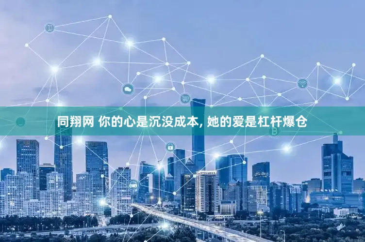 同翔网 你的心是沉没成本, 她的爱是杠杆爆仓