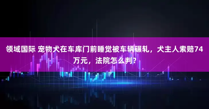 领域国际 宠物犬在车库门前睡觉被车辆碾轧，犬主人索赔74万元，法院怎么判？